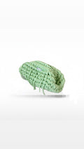 Clutch - Vert menthe